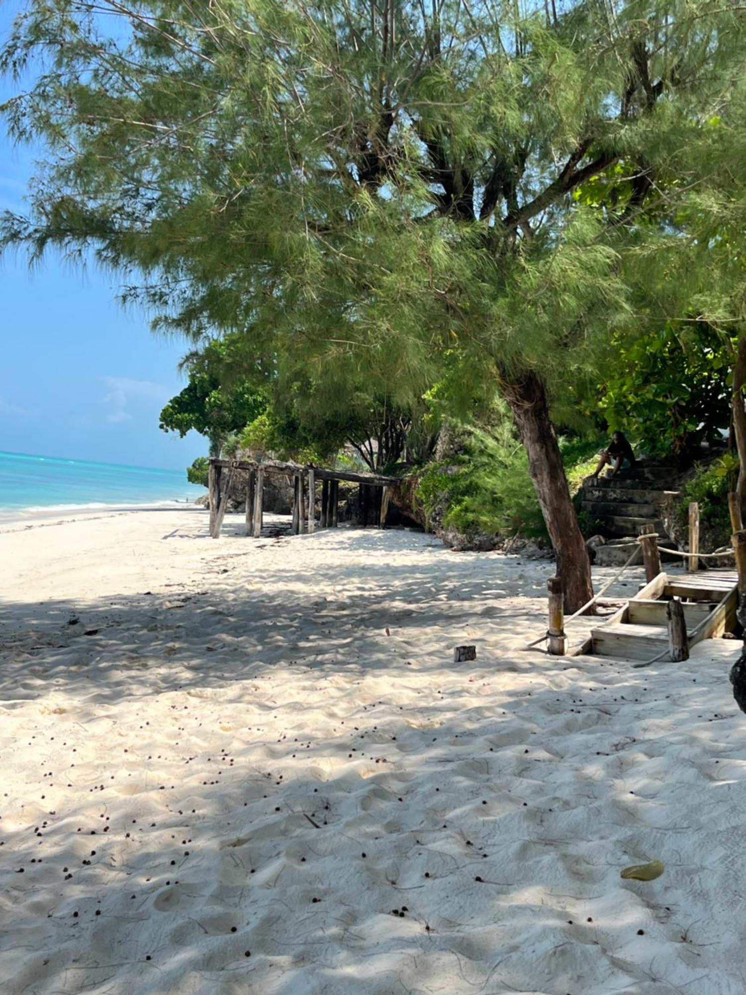 Sazani Beach Lodge And Tidal Lounge 눙귀 외부 사진