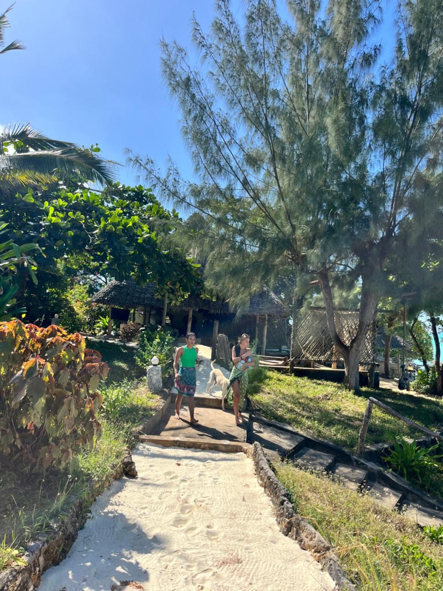 Sazani Beach Lodge And Tidal Lounge 눙귀 외부 사진