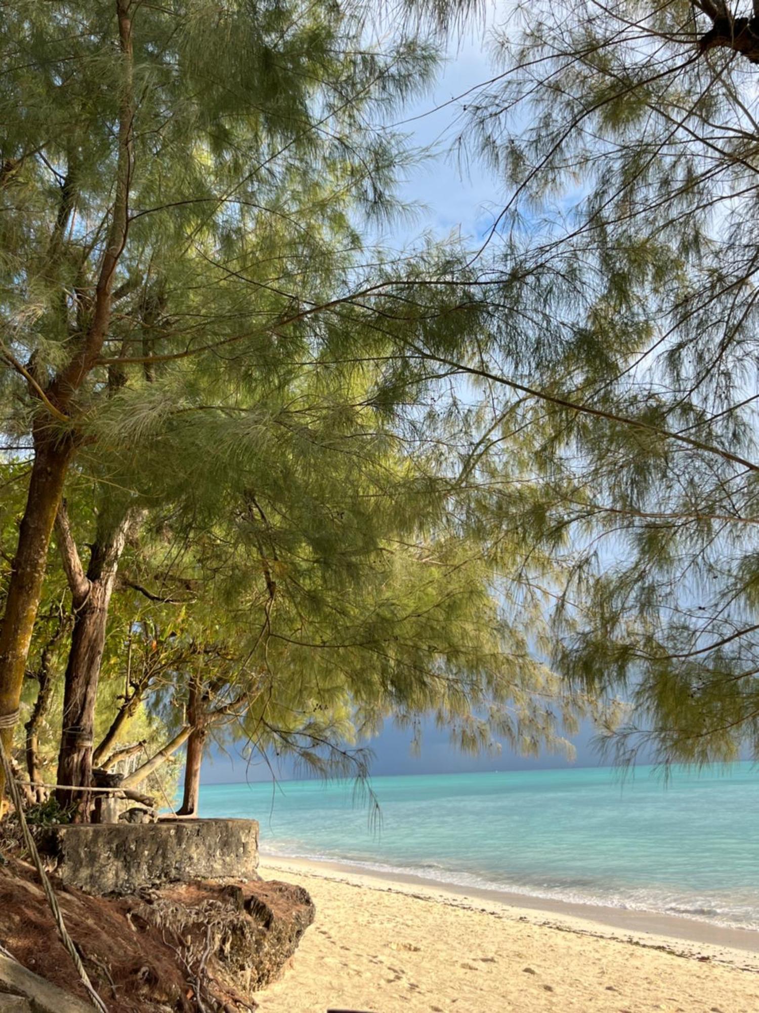 Sazani Beach Lodge And Tidal Lounge 눙귀 외부 사진