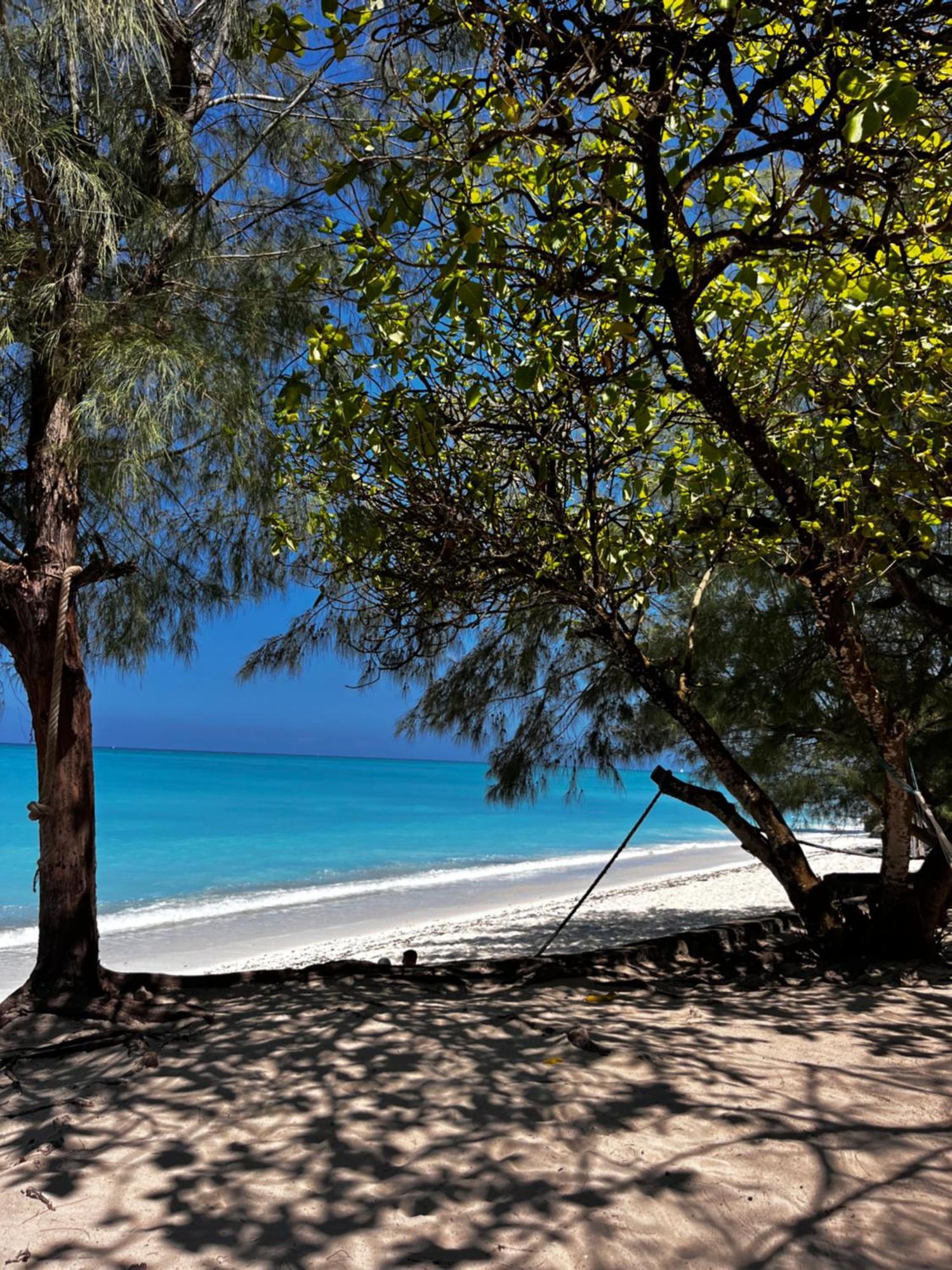 Sazani Beach Lodge And Tidal Lounge 눙귀 외부 사진